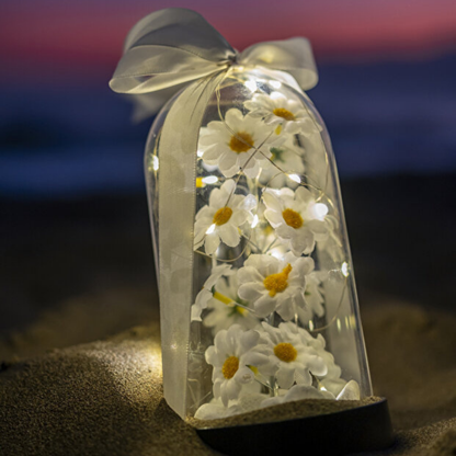 Led Işıklı Papatya Fanusu