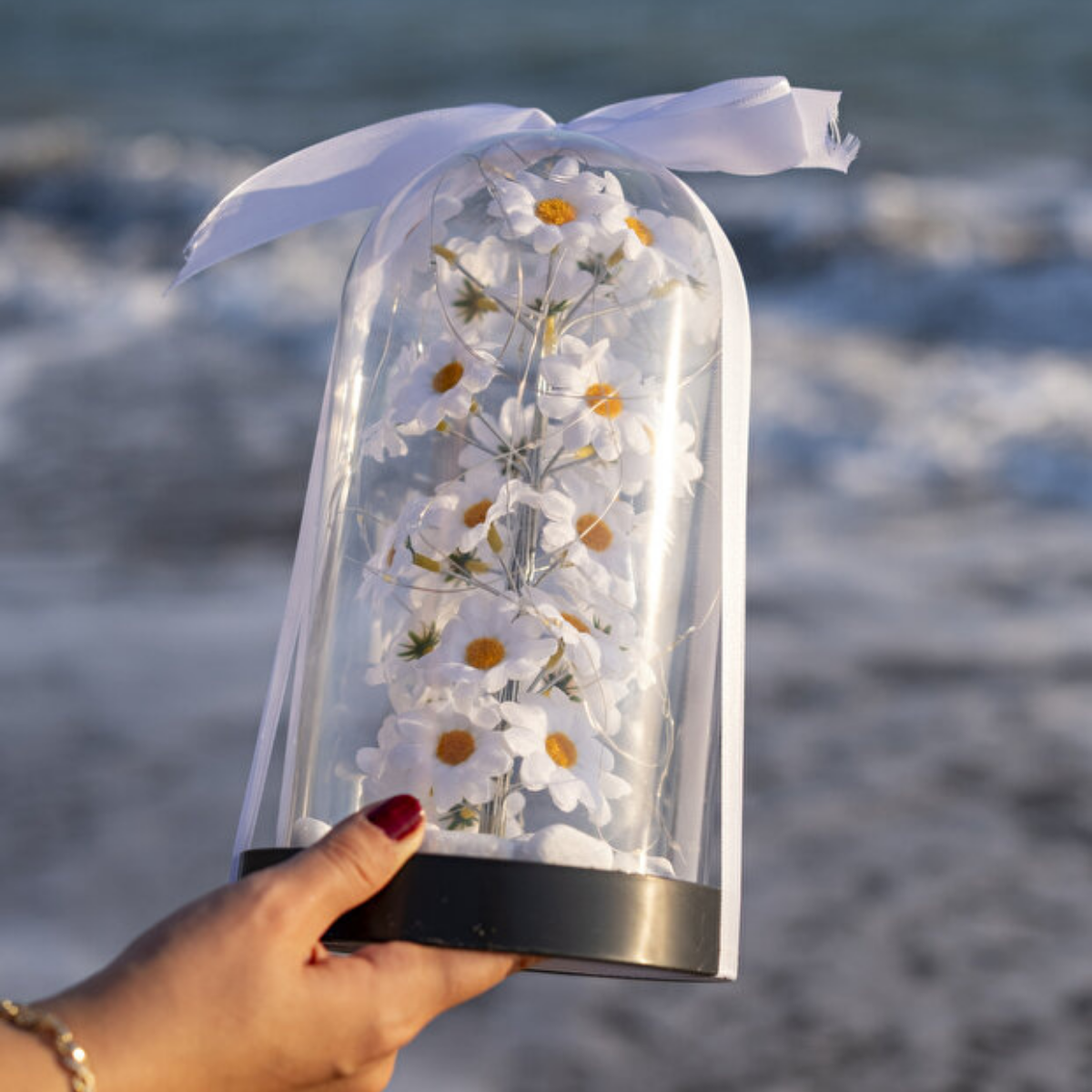 Led Işıklı Papatya Fanusu