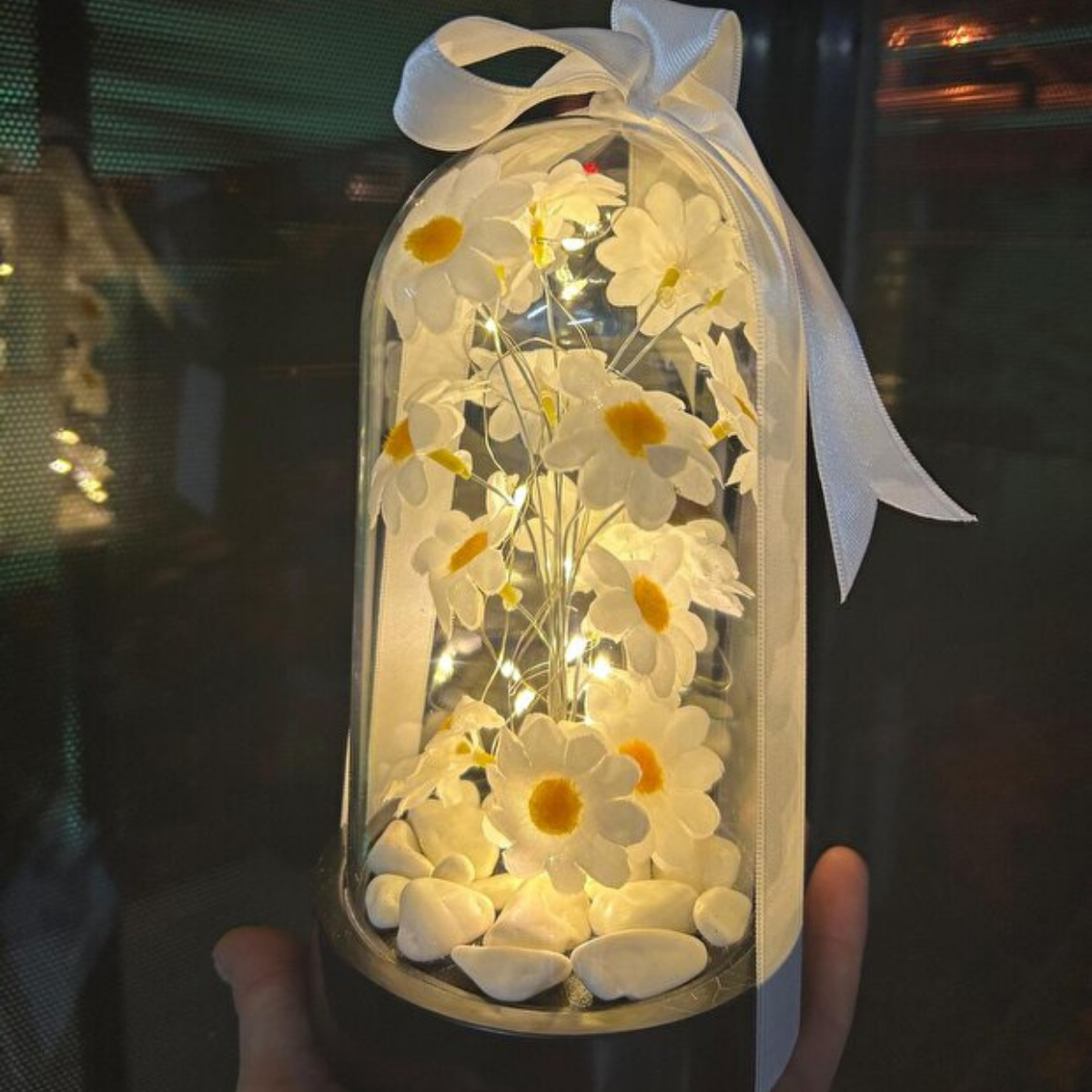 Led Işıklı Papatya Fanusu