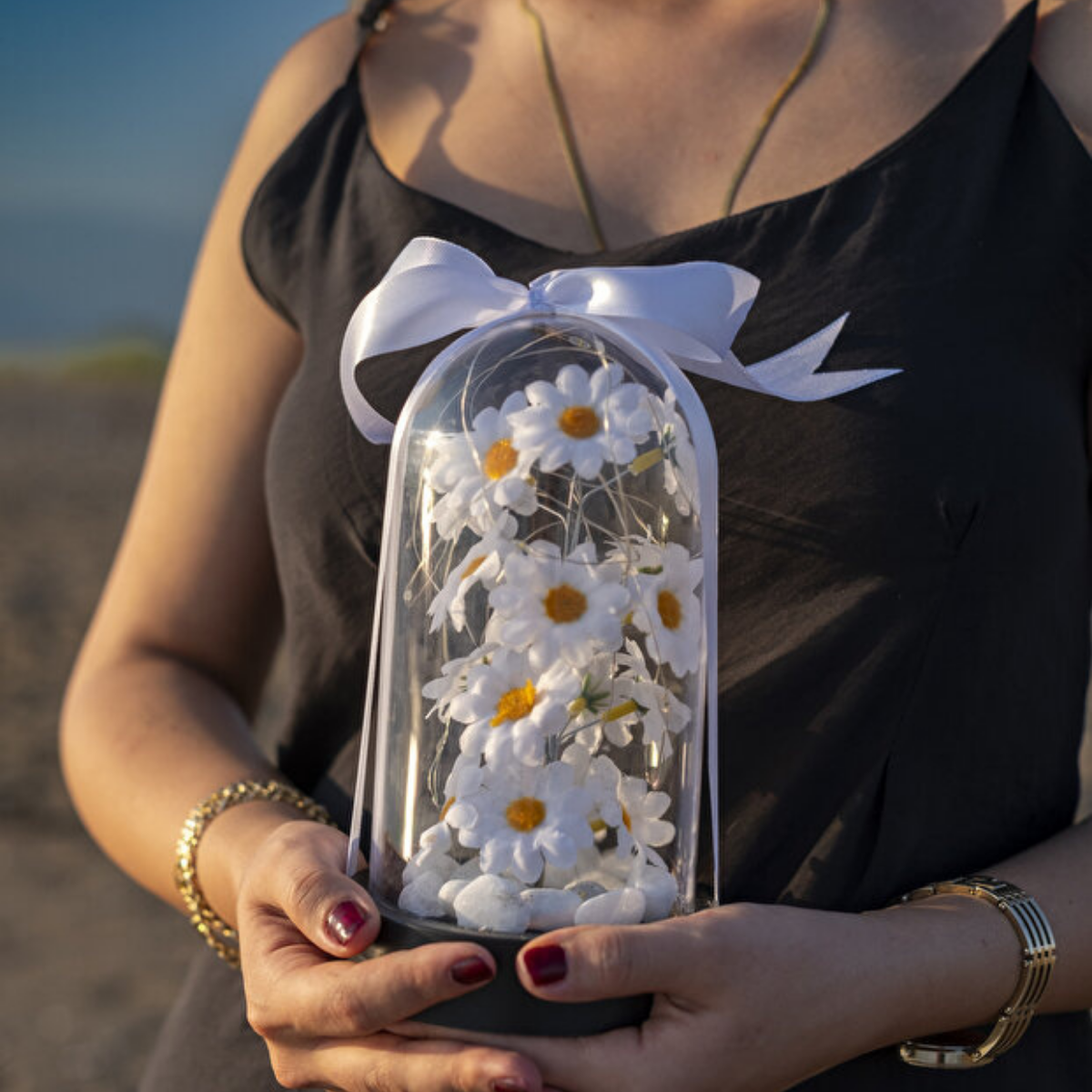 Led Işıklı Papatya Fanusu